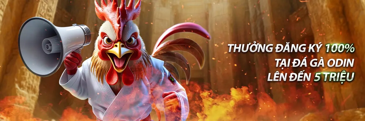 Võ sĩ MMA đang thi đấu trong lồng bát giác, tượng trưng cho cá cược MMA và quyền anh tại 88xx bet